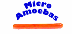 Micro Amoebas